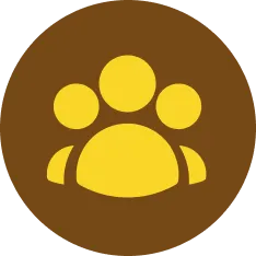 icono ilustrativo