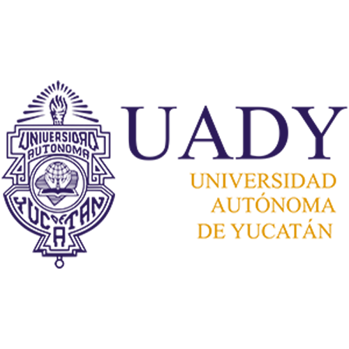 Organización 1