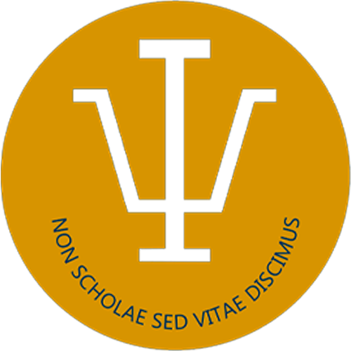 Organización 2