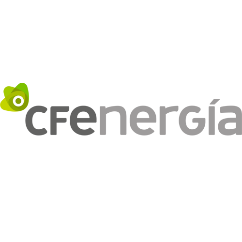 Organización 3