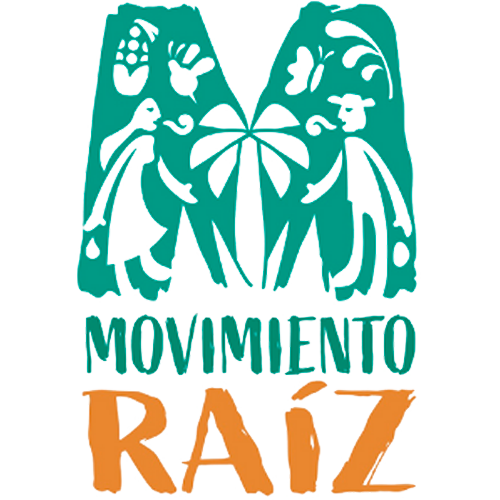 Organización 4